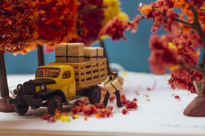 Close-up of red leaves on table