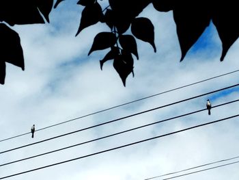 Low angle view of birds flying against sky