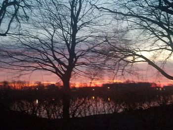 Silhouette trees on field against sky at sunset
