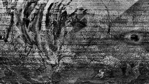 Full frame shot of tree