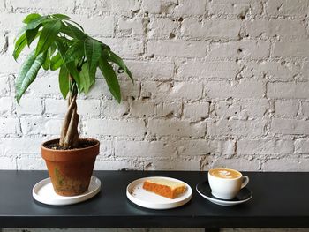 Close-up of plant on table