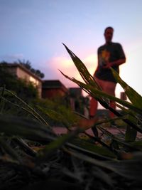 Man standing on field against sky during sunset