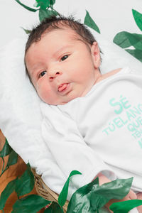 Beautiful newborn baby, with wide eyes looking at the camera, in bamboo fiber basket and surrounded 