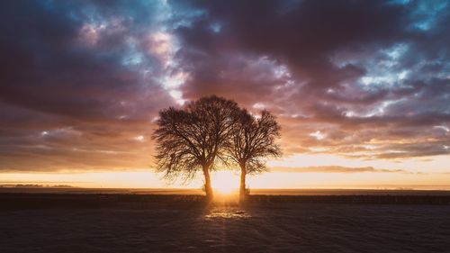 Silhouette trees on landscape against sky during sunset