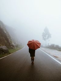 Rear view of person walking on country road in foggy weather