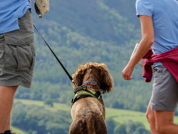 Rear view of man with dog