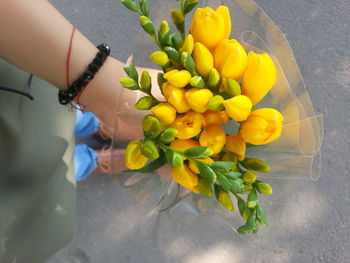 Close-up of flowers