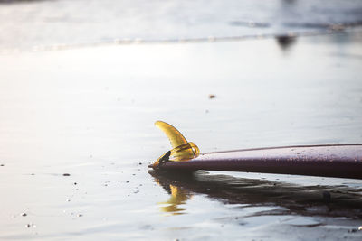 Close-up of surfboard on beach