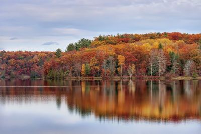 Scenic view of lake by trees against sky