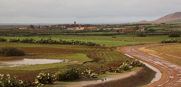 Scenic view of agricultural field against sky