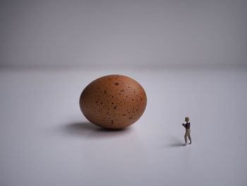 Close-up of egg against white background