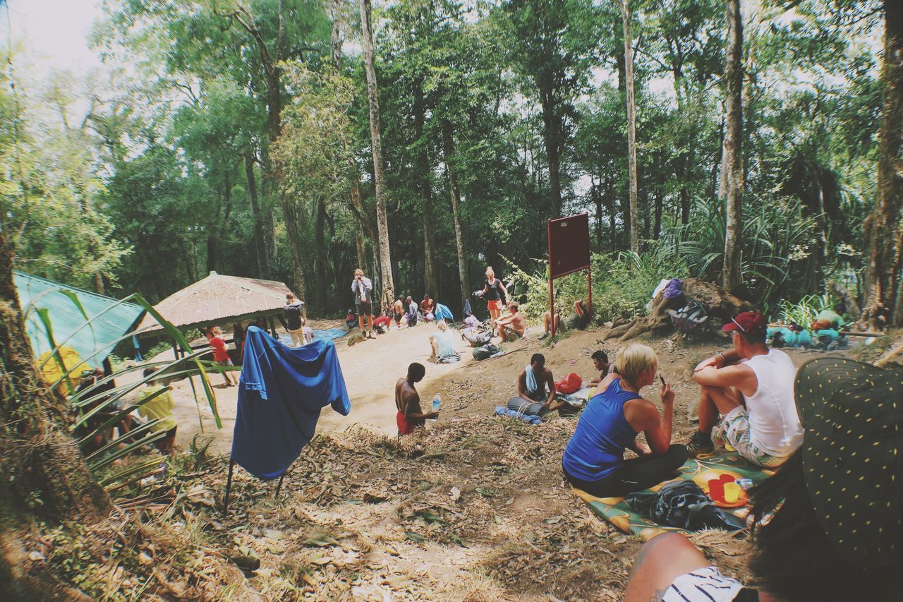 tree, leisure activity, lifestyles, men, large group of people, person, growth, tree trunk, relaxation, sitting, vacations, nature, day, park - man made space, outdoors, enjoyment, sunlight, mixed age range, togetherness