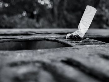 Close-up of cigarette 