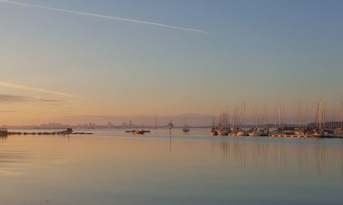 Sailboats in sea at sunset