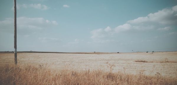 Scenic view of field against sky