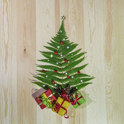 Close-up of christmas tree