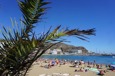 People at beach against clear blue sky