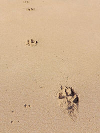 High angle view of footprints on sand