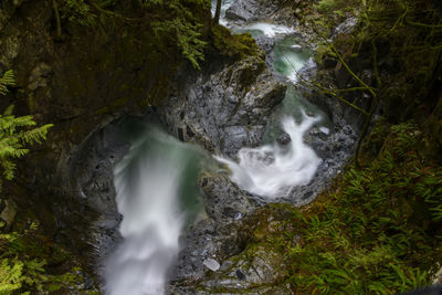 Scenic view of waterfall in forest