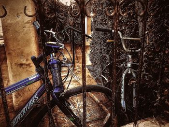 View of trees at night