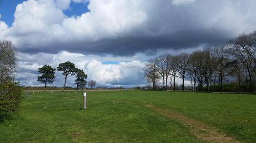 Trees on field against cloudy sky