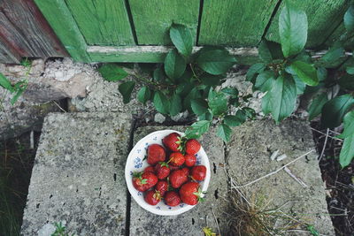 High angle view of strawberries in bowl outside of house by plants
