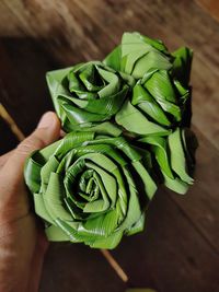 Close-up of hand holding green leaves