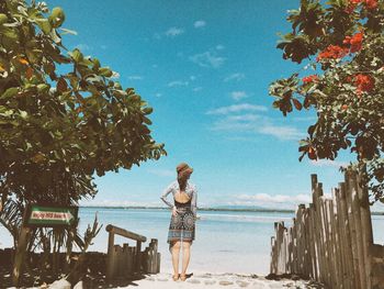 Rear view of woman walking on beach