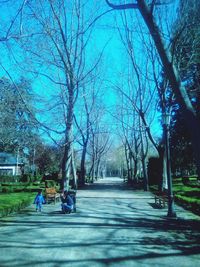 Empty road along trees