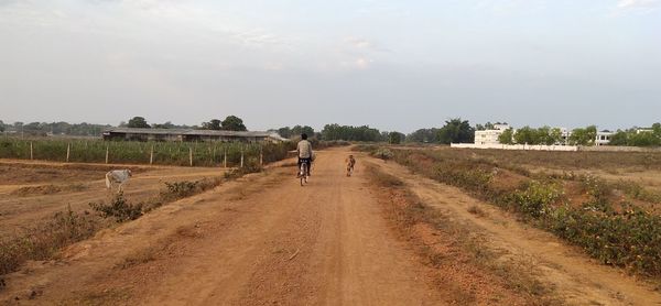 Rear view of man riding bicycle on dirt road against sky