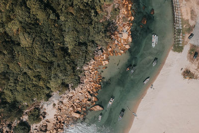 Aerial view of beach