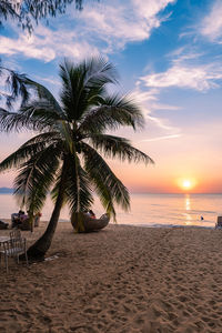 Palm trees on beach against sky during sunset