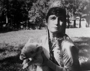 Close up of a tree trunk