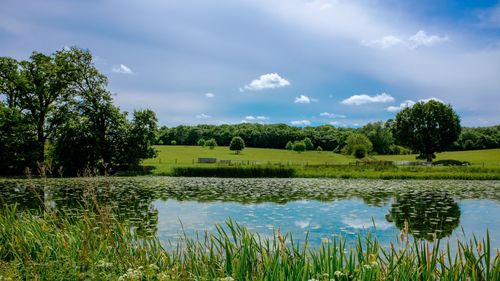 Scenic view of field by lake against sky