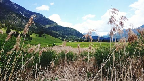 Scenic view of field against cloudy sky