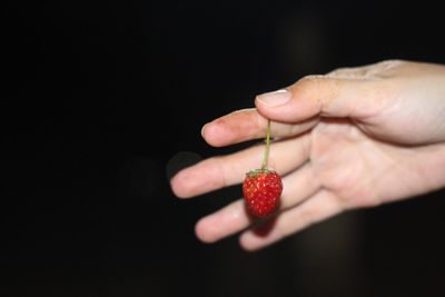 Hand holding red berries against black background