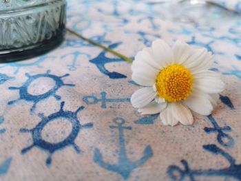 Close-up of white flower on table