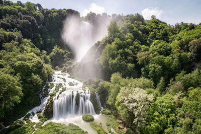 View of waterfall in forest