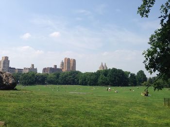Trees on grassy landscape against cloudy sky