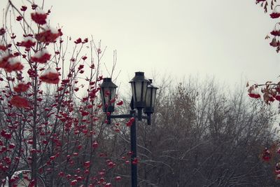 Low angle view of street light against sky