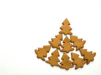 Close-up of christmas tree against white background