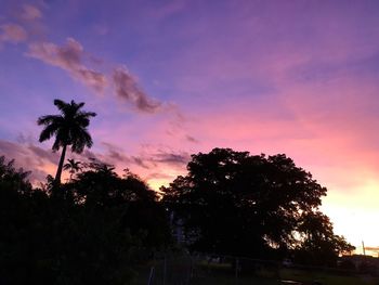 Low angle view of silhouette trees against sky during sunset