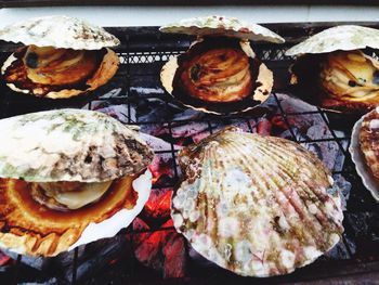 Close-up of shellfish on grill