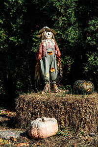 Statue against trees in forest