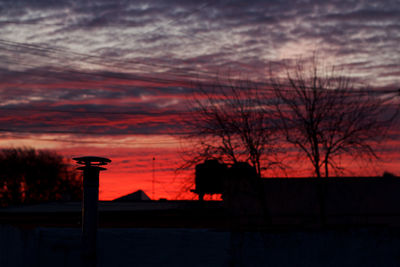 Silhouette bare trees against sky during sunset