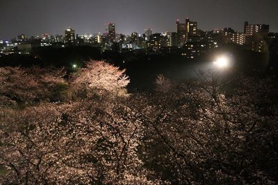 City at night