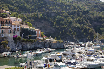 Boats moored in harbor by buildings against mountains