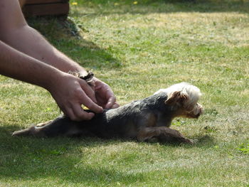 Man with dog on field