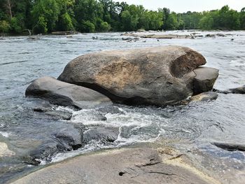 Rocks on shore at beach