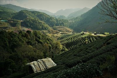 Scenic view of agricultural field against mountains